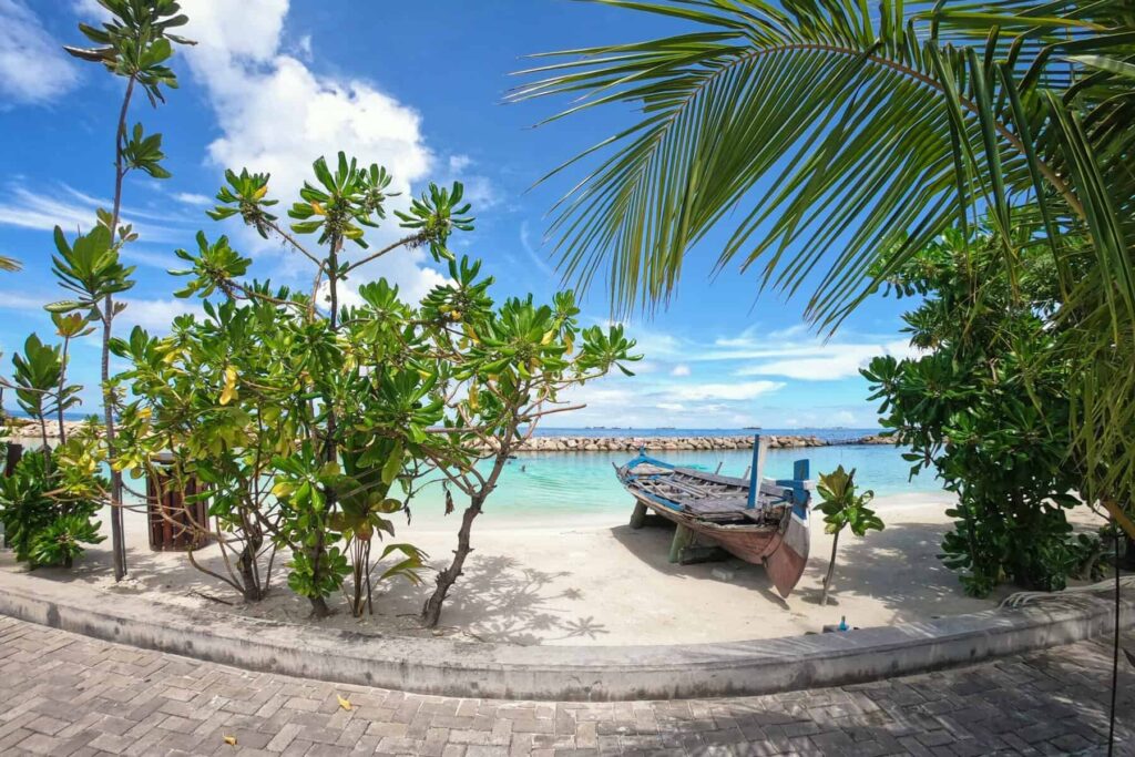 honeymoon island
