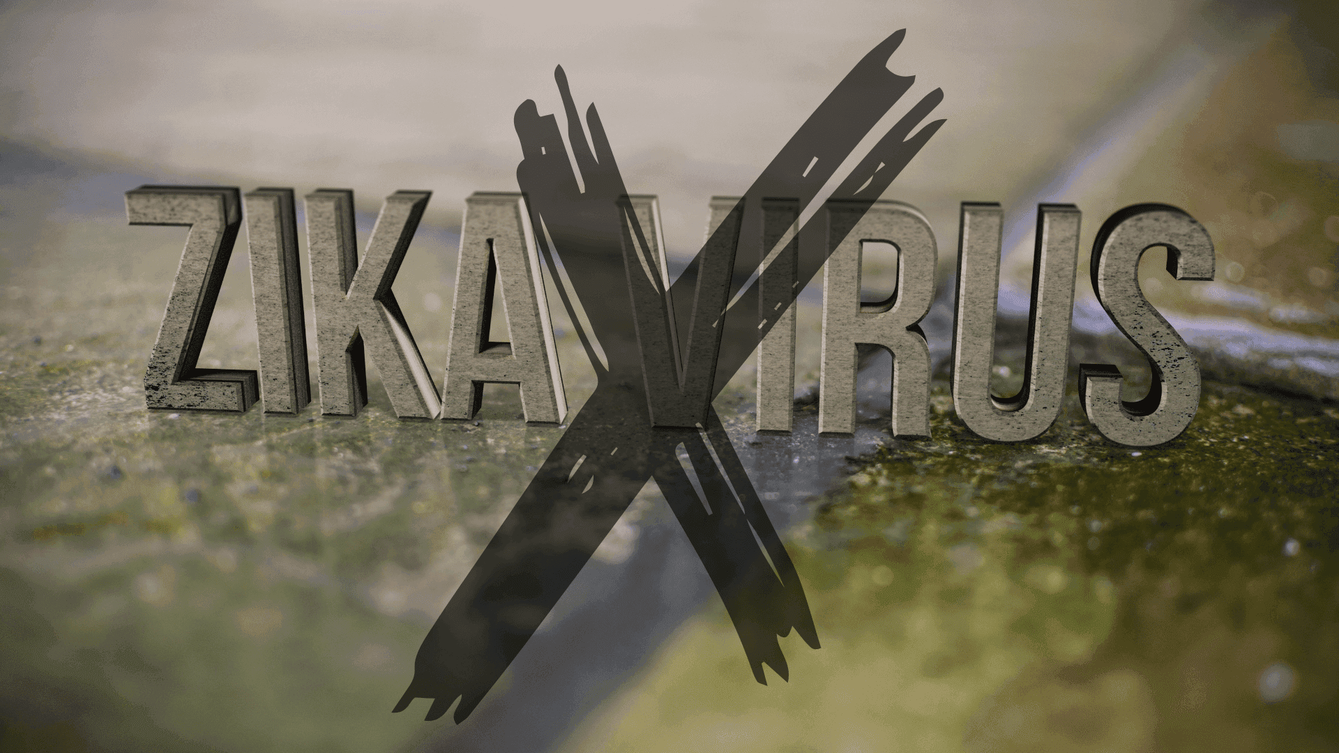 zika free countries 2023, zika free destinations