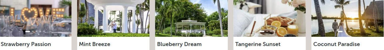 Example Barcelo Wedding Packages