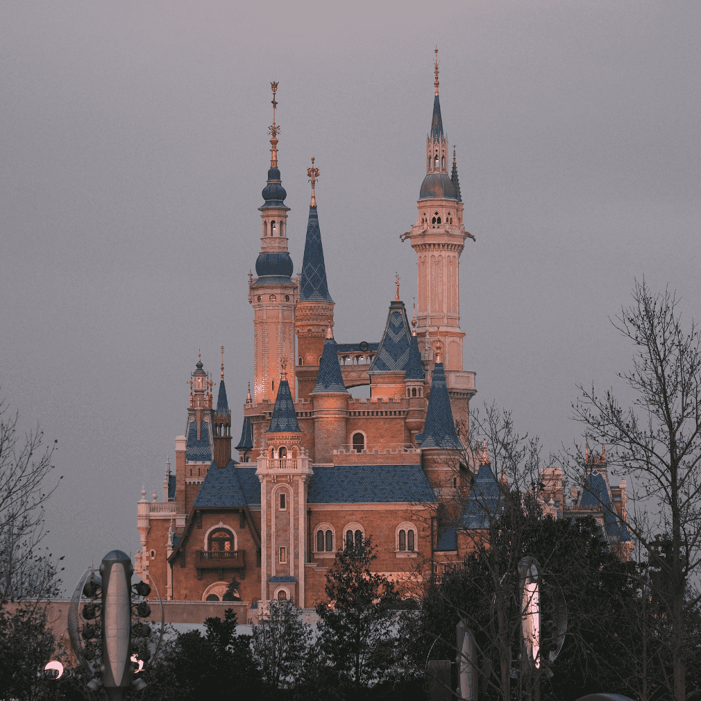 Disney World castle