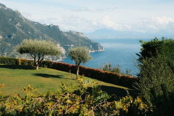 A serene coastal landscape featuring two olive trees on a lush green lawn. A hedge overlooks a deep blue sea framed by distant, rugged mountains.