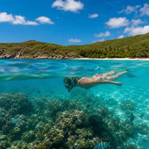 Caribbean (3)_result